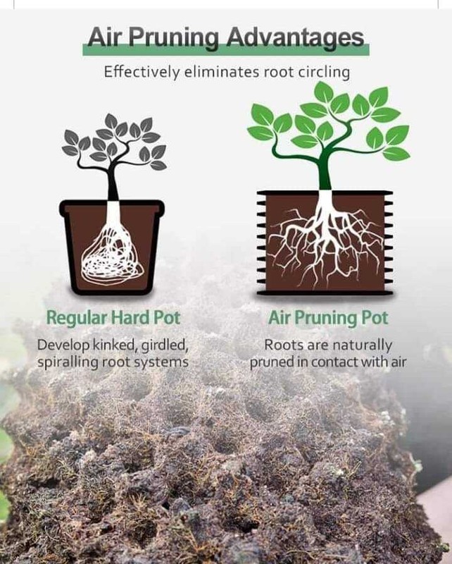 Square Root Pruning Pot - 20% to 25% Better Root Development TEN PACK/FREE SHIP gallery