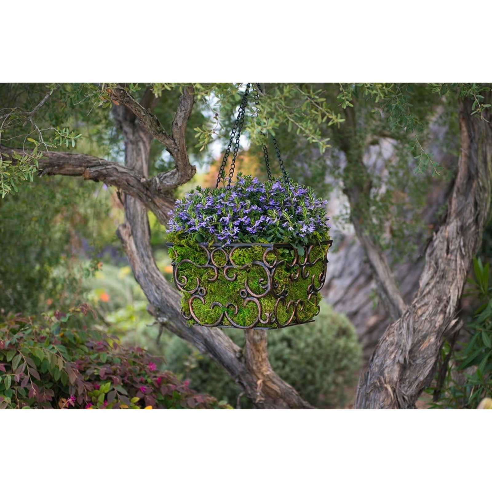 SuperMoss Preserved Sheet Moss, Fresh Green, 1oz gallery