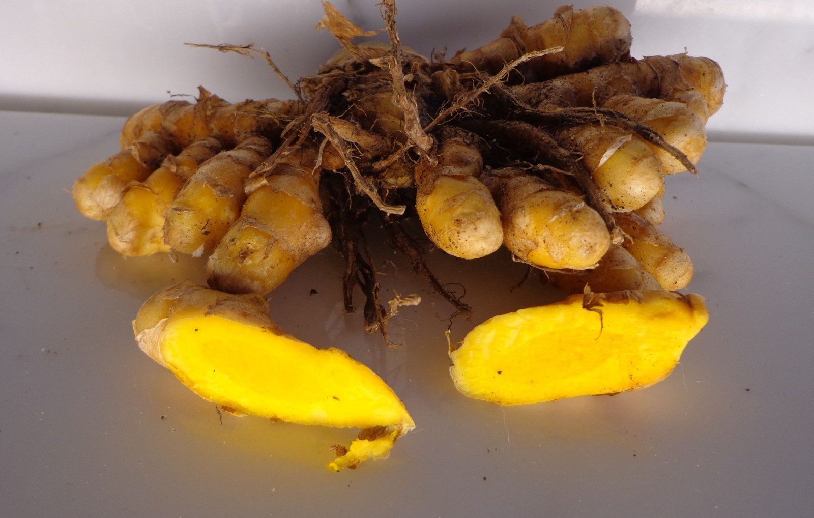 8 Turmeric Root 4 oz (YELLOW CURCUMA LONGA) for Plant-Arthritis Pain-SKIN SORES gallery