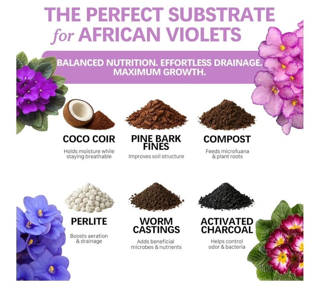 Organic African Violet Soil Nutrient Rich Potting Mix for Strong Roots 4 Quarts gallery