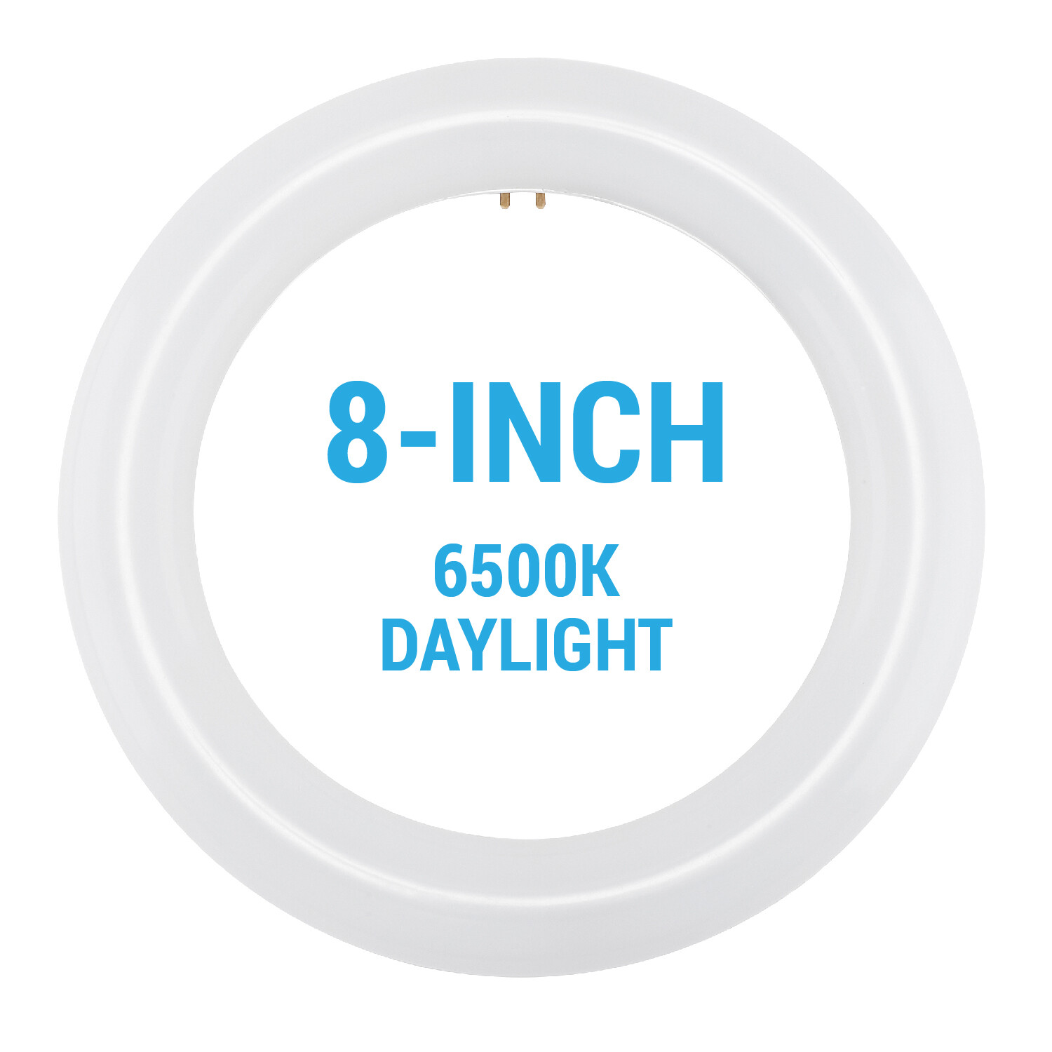 8-Inch LED CFL Replacement Circline Circular 11W T9 4-Pin G10q 6500K Daylight gallery