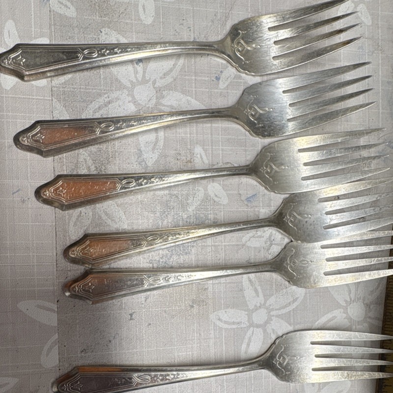 1847 Rogers Bros Silverplate Flatware Set 66 pcs Floral, Wood Case Blue Liner gallery
