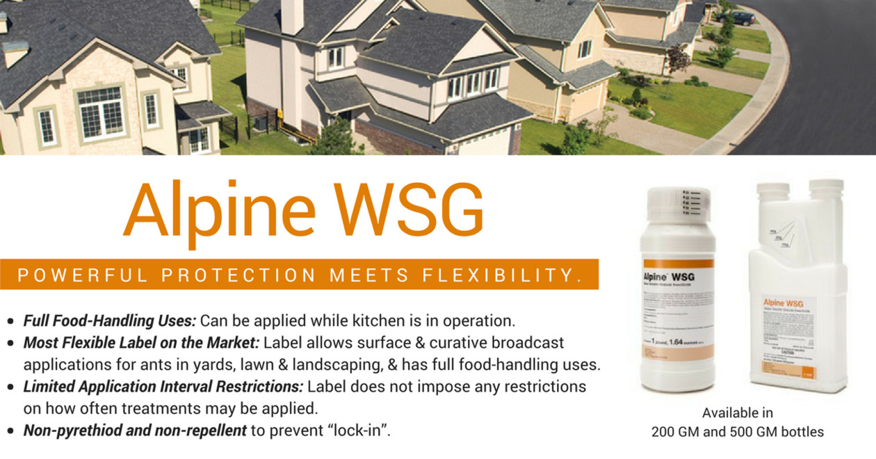 Alpine WSG Water Soluble Granule Insecticide Jar Flea Bed Bug Roach Control gallery