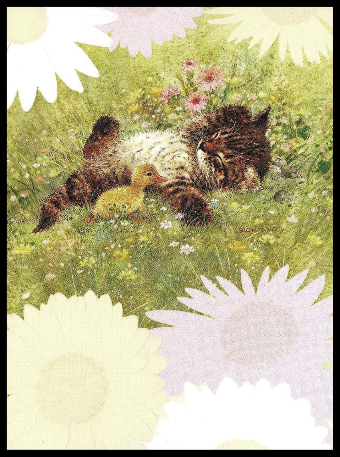 Greeting Card - Cat Kitten Tabby - Giordano - Any Occasion 0773 gallery
