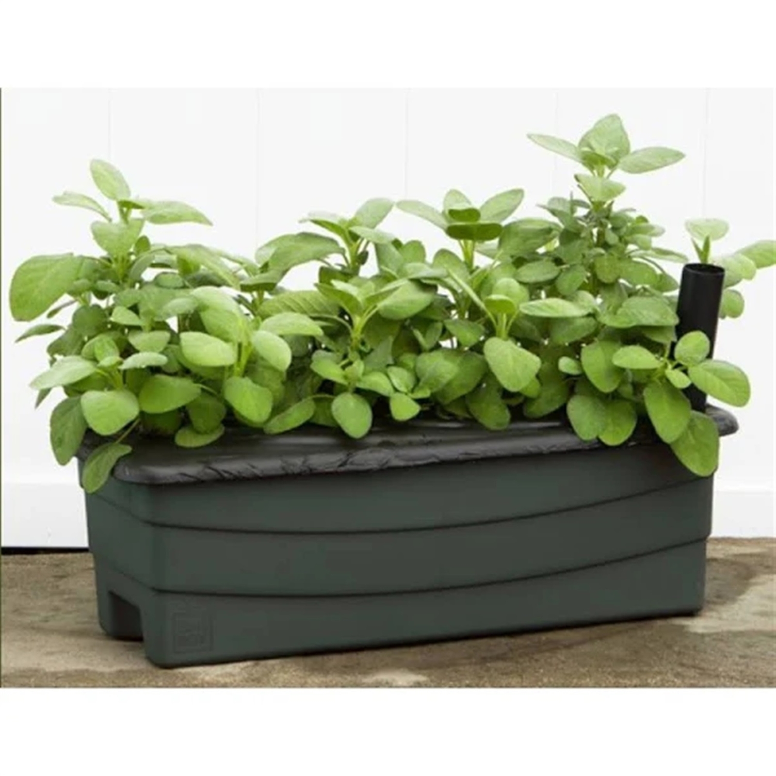 Novelty (#80651) EarthBox Junior Garden Kit, Natural, Green gallery