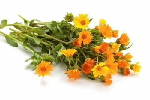 Marigold Flower - Dried Calendula officinalis Loose Flower , Wild Crafted gallery