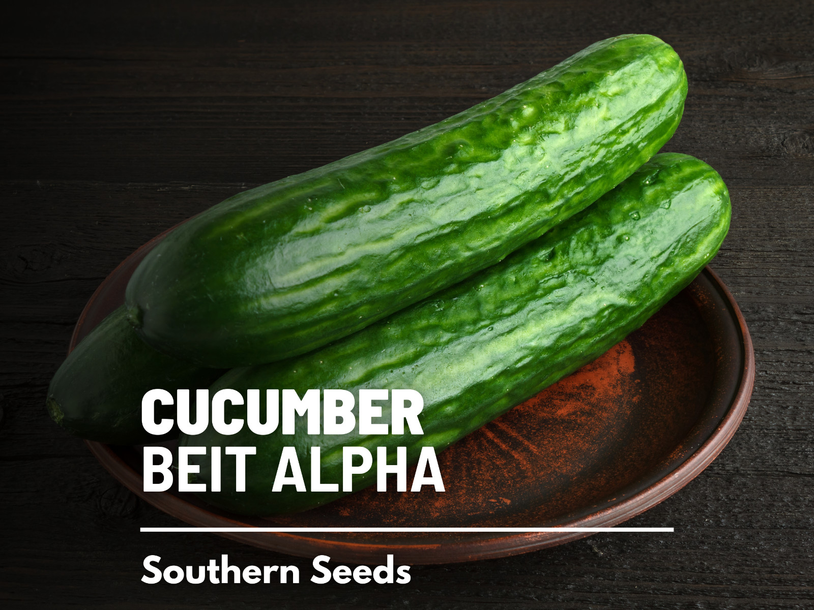 Cucumber, Beit Alpha - Heirloom Seeds - NonGMO (Cucumis sativus) gallery