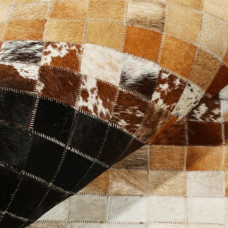 Black & Beige White Bordered Area Rug - Modern Living Room Carpet Runner 9x12 ft gallery