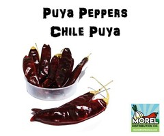 Dried Chile Puya Pepper (Chile Pulla) WT: 4 OZ 8 OZ 1 LB 2 LBS 5 LBS 10 LBS