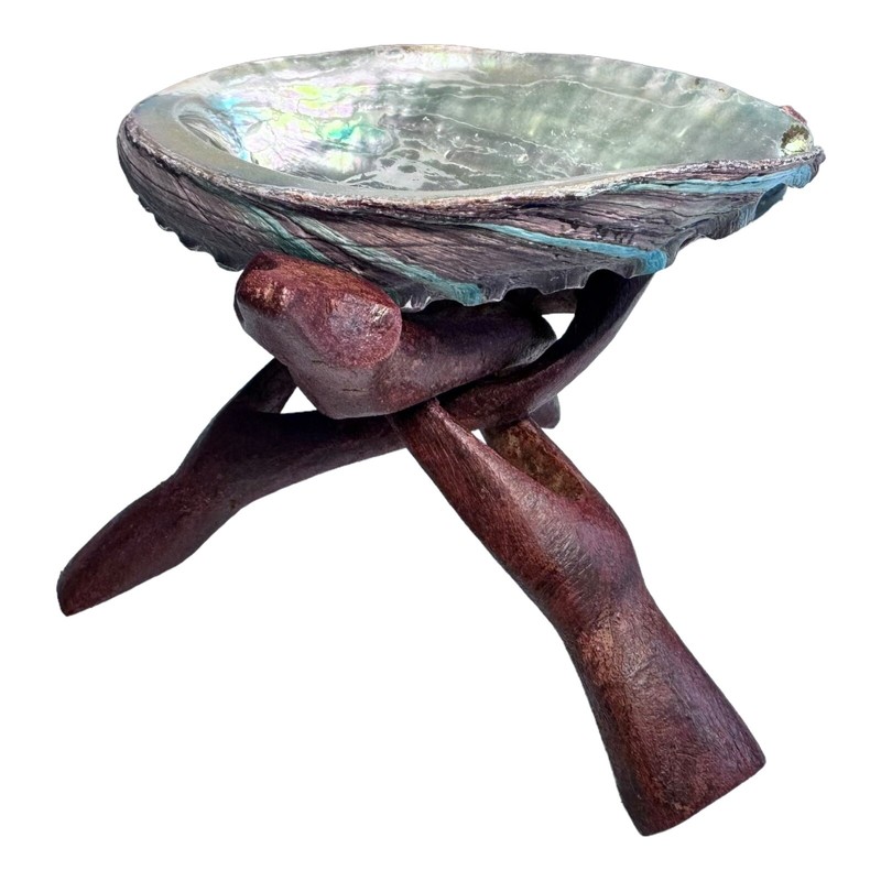 HUGE Abalone Shell & Tripod cobra Stand 6" inchs perfect Burning kit ~ FREE SHIP gallery