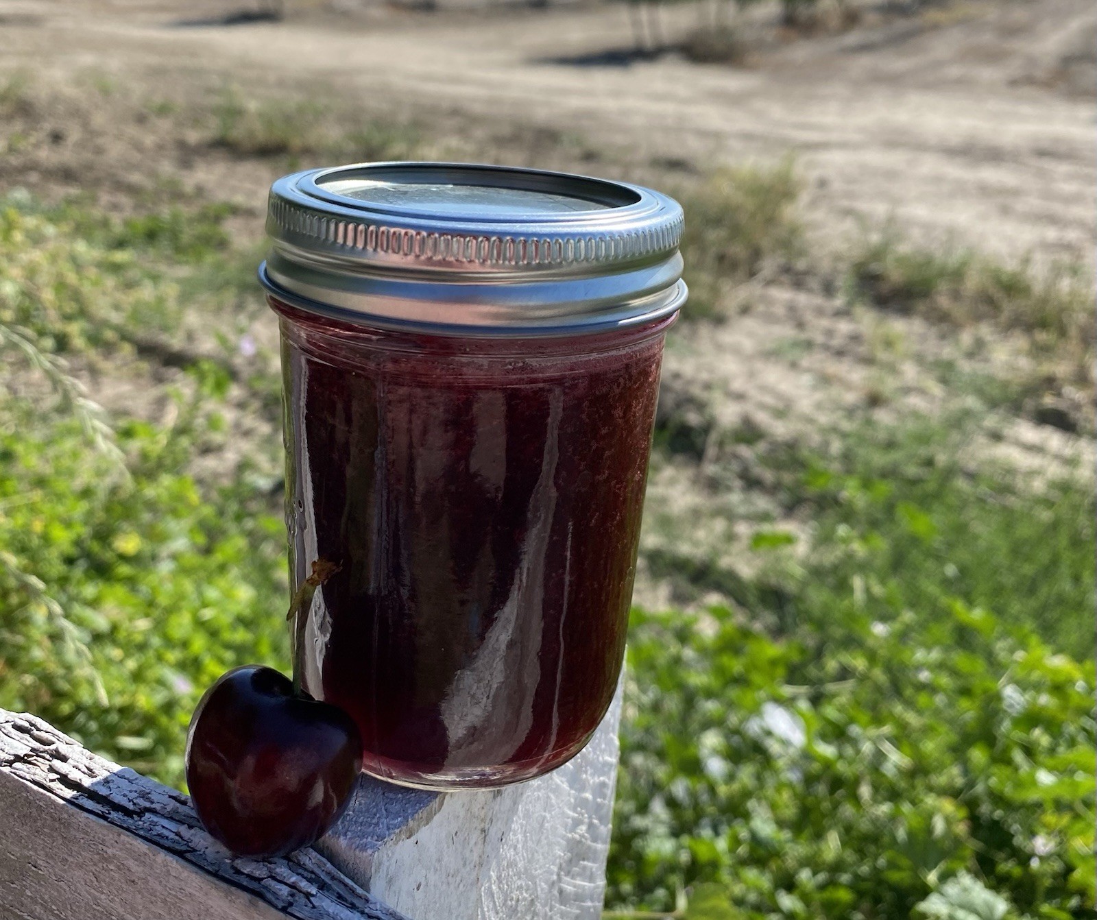 Homemade Cherry Fruit Jam Preserves-8 oz Jar gallery