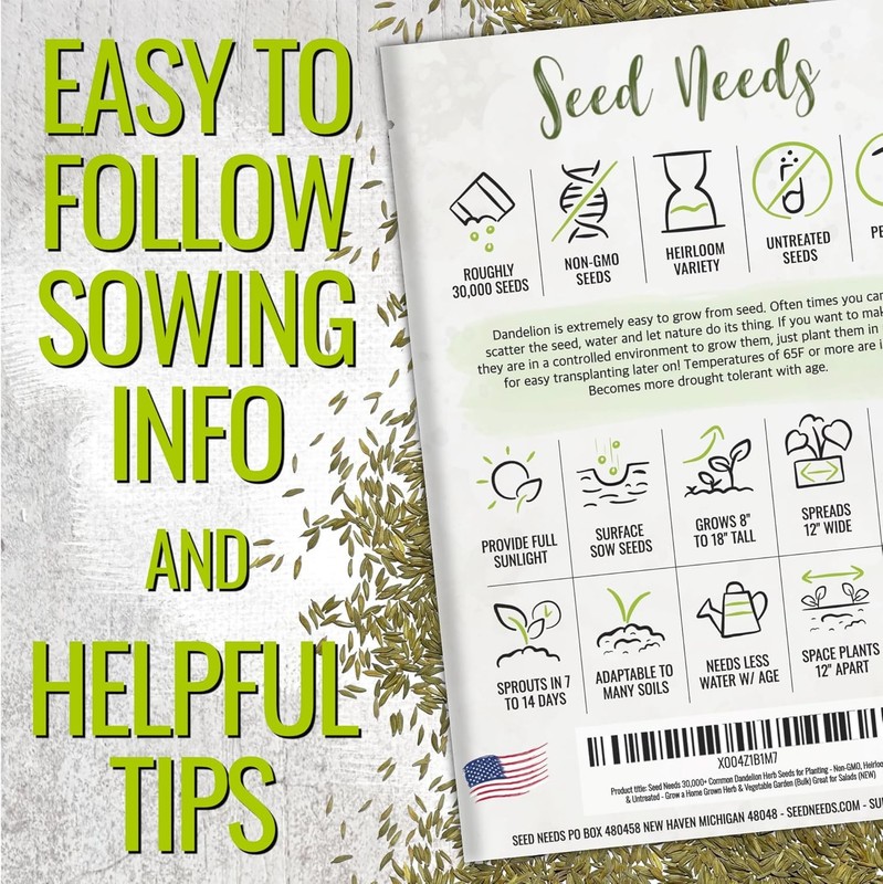 Seed Needs 30,000+ Common Dandelion Herb Seeds for Planting - Non-GMO, Heirloom gallery