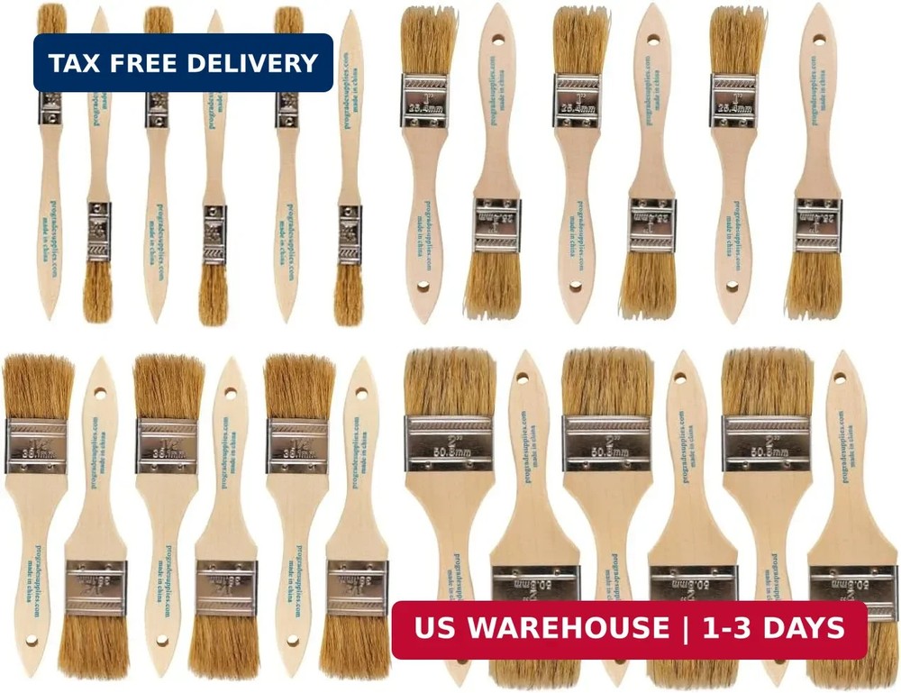 Pro Grade - Chip Brush – Paint Brush Set – 24 Pack - Natural China Bristle Paint