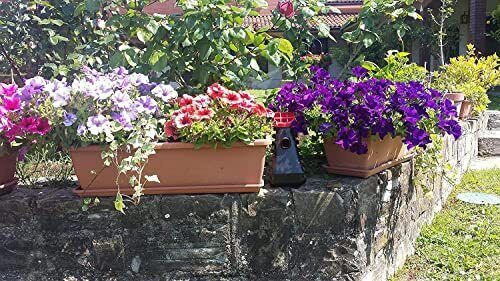 INZECTO Mosquito Control Trap - Kills Mosquitoes & Larvae for 90 Days - 1 TRAP gallery