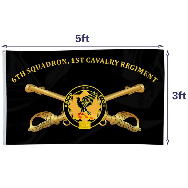 6th Squadron, 1st Cavalry Regiment US Army Flag 3x5Feet with Brass Grommets gallery