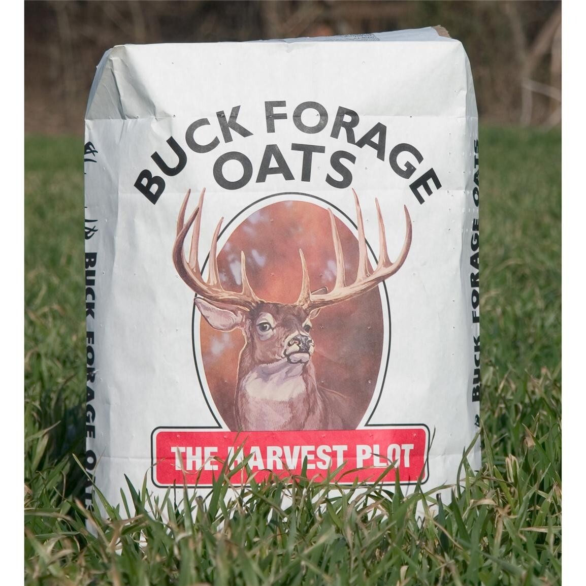 Buck Forage Oats Food Plot Seeds - 50 Lbs. gallery