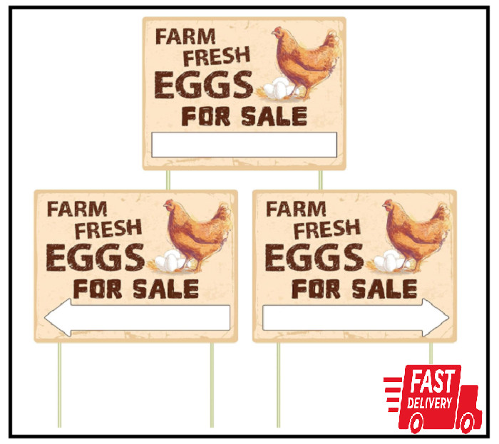 3Pcs Double Sided Farm Fresh Eggs Sign Eggs for Sale Sign Corrugated Plastic Fre gallery