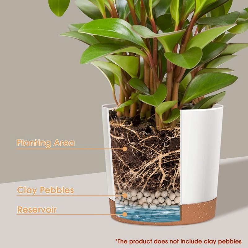 2 Pack 8 Inch Planters for Indoor Plants, Plastic Flower Pots Plant Pots Indoor gallery