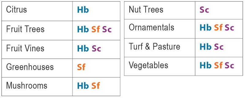 Beneficial Nematodes Triple Blend HB+SC+SF Targets 200+ Soil Pests gallery