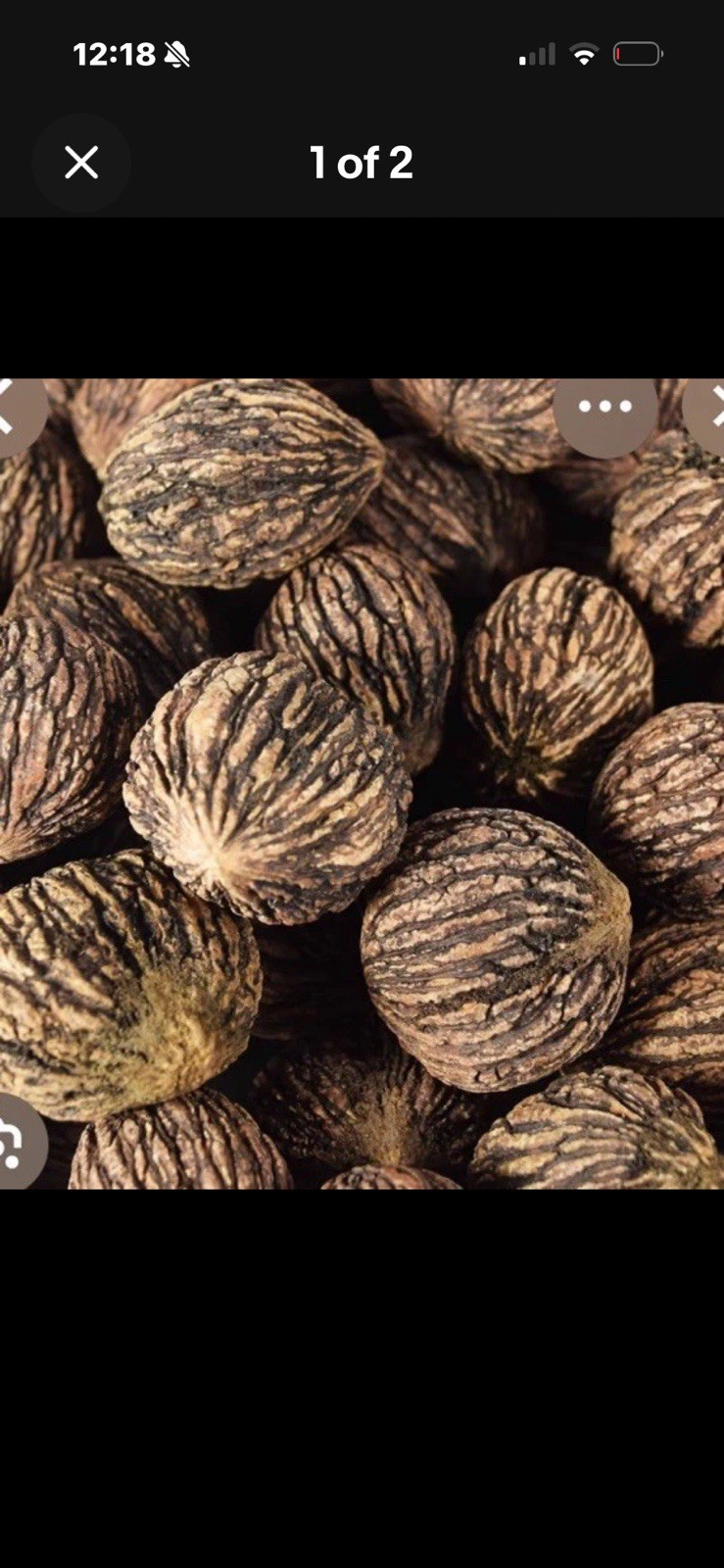 20 Lbs Black Walnuts hulled, in shell fresh harvest 2025, TN Non GMO, ORGANIC gallery