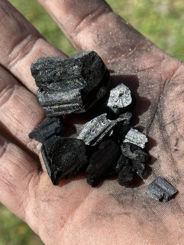 Premium Biochar for Soil Amendment & Plants – 1lb Uncharged – Process Verified gallery