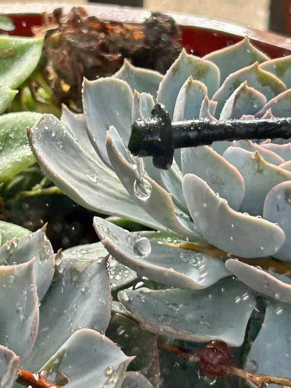 Olson Irrigation Drip Tubing gallery