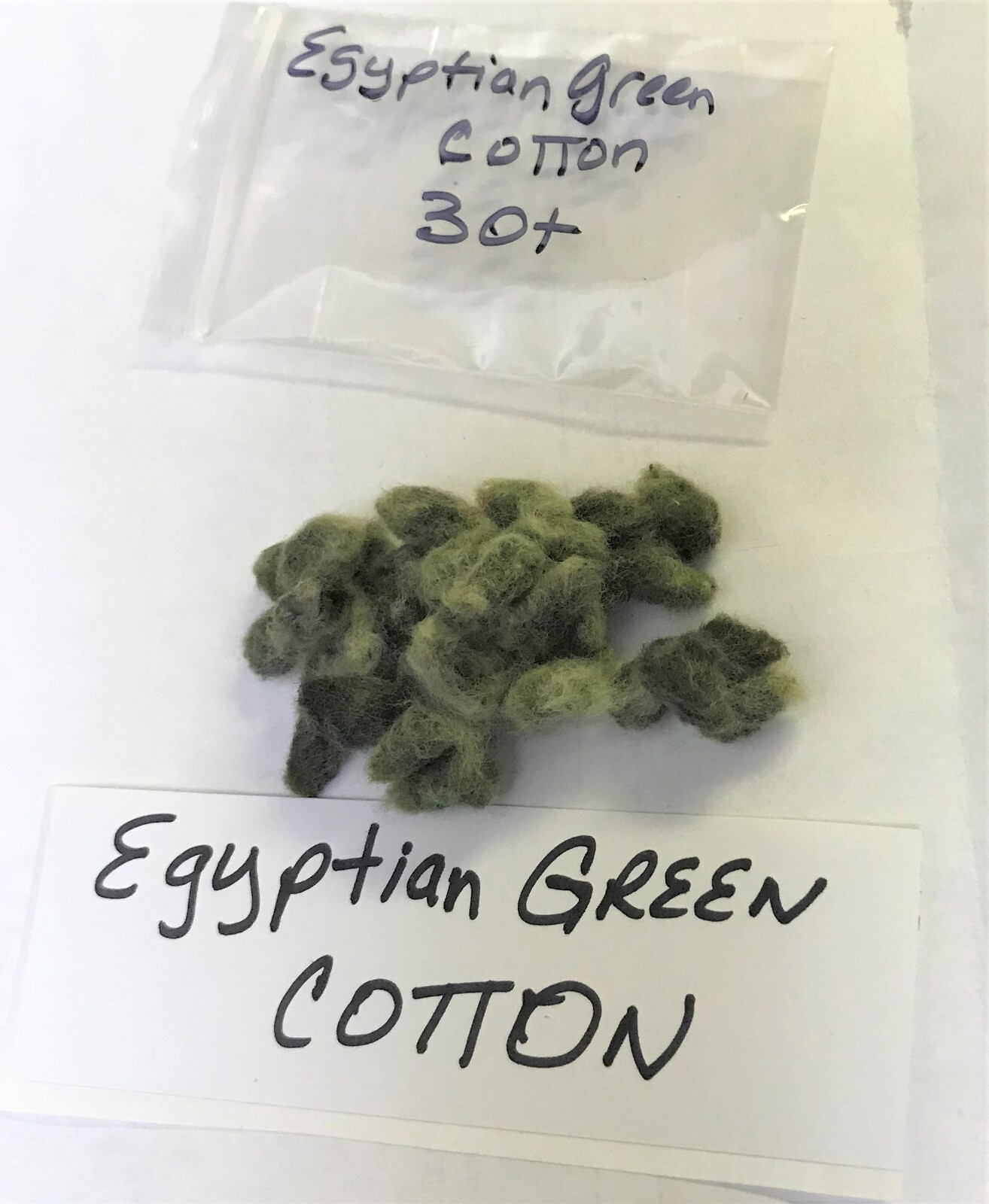 30 EGYPTIAN GREEN LINT Cotton Seed Extremely Rare Heirloom Ornamental gallery