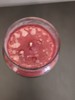 Yankee Candle APPLE PUMPKIN Large Jar 22 Oz Fall Brown Red Fruit NEW gallery
