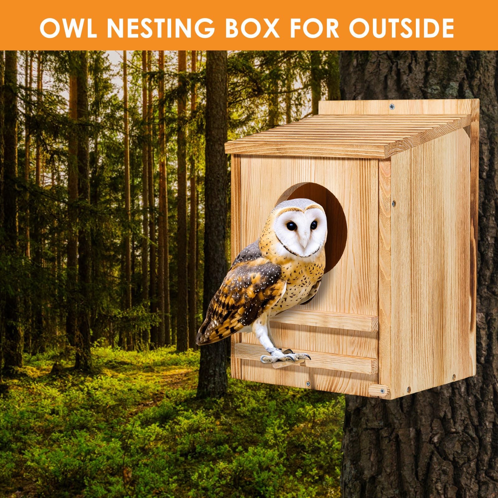 Barn Owl House, Owl Nesting Box for Outside, Wooden Screech Owls Nesting Box gallery