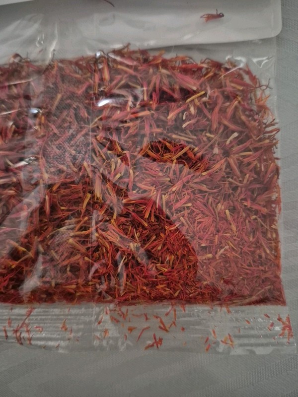 saffron spice flower gallery