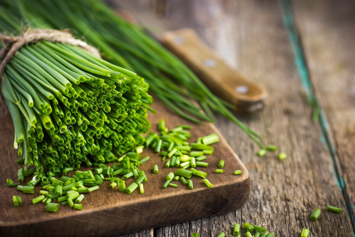 150 CHIVE / CHIVES HERB SEEDS ~ 2026 ~ heirloomseedguy ~ USA gallery