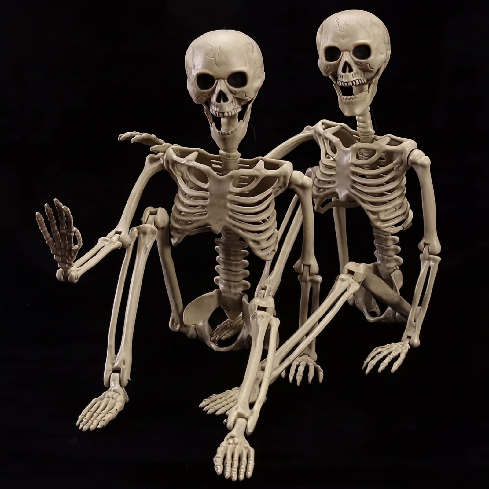 2 Pack 40 Inches Halloween Skeleton Life Size Full Body Realistic Posable Mov gallery