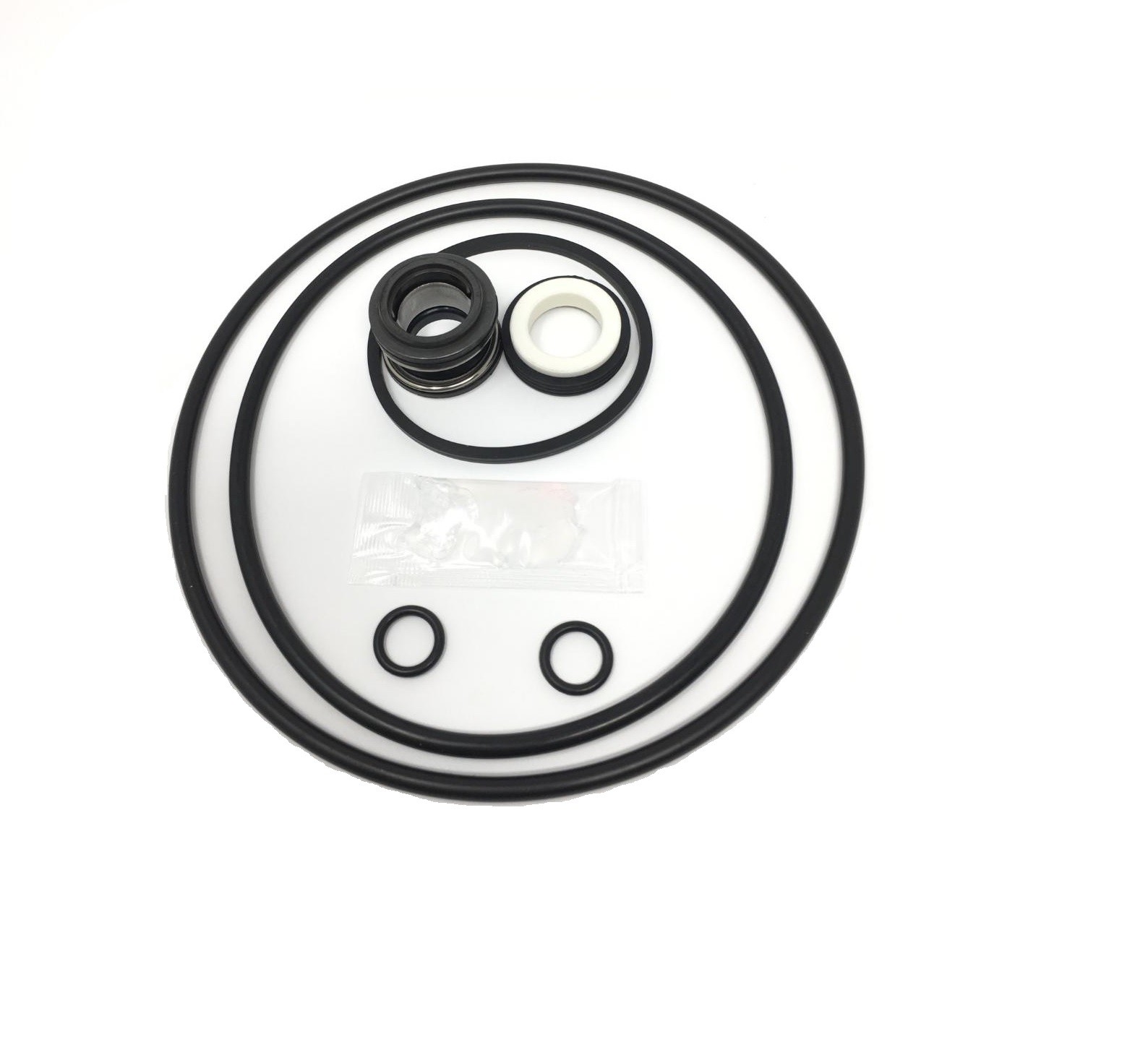 O-Ring Seal Rebuild Repair Kit For Jacuzzi Magnum Pool Pump Kit 14 gallery
