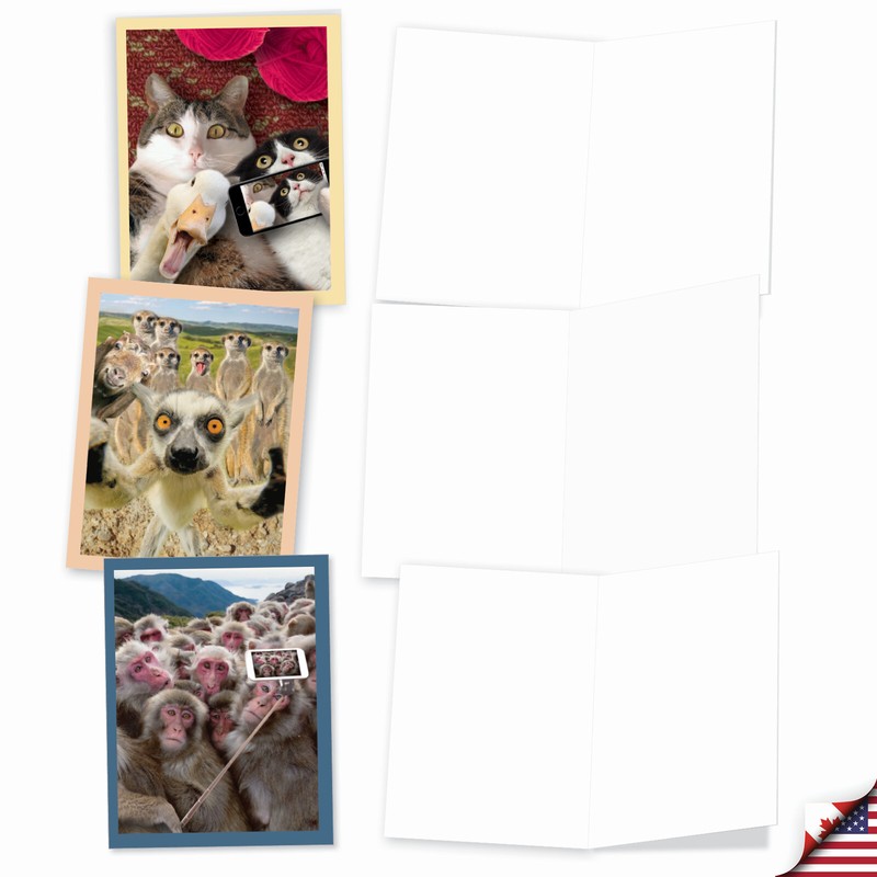 10 Assorted All Occasion Blank Note Cards - ANIMAL SELFIES M2373OCB gallery