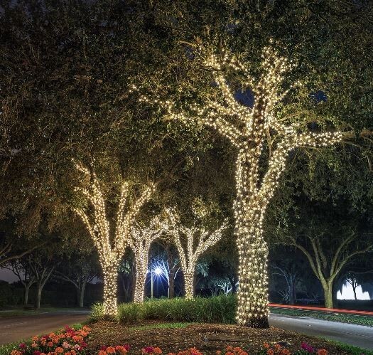 100 LED Solar String Lights 40FT Warm White 8 Modes Auto On/Off Xmas Decorations gallery