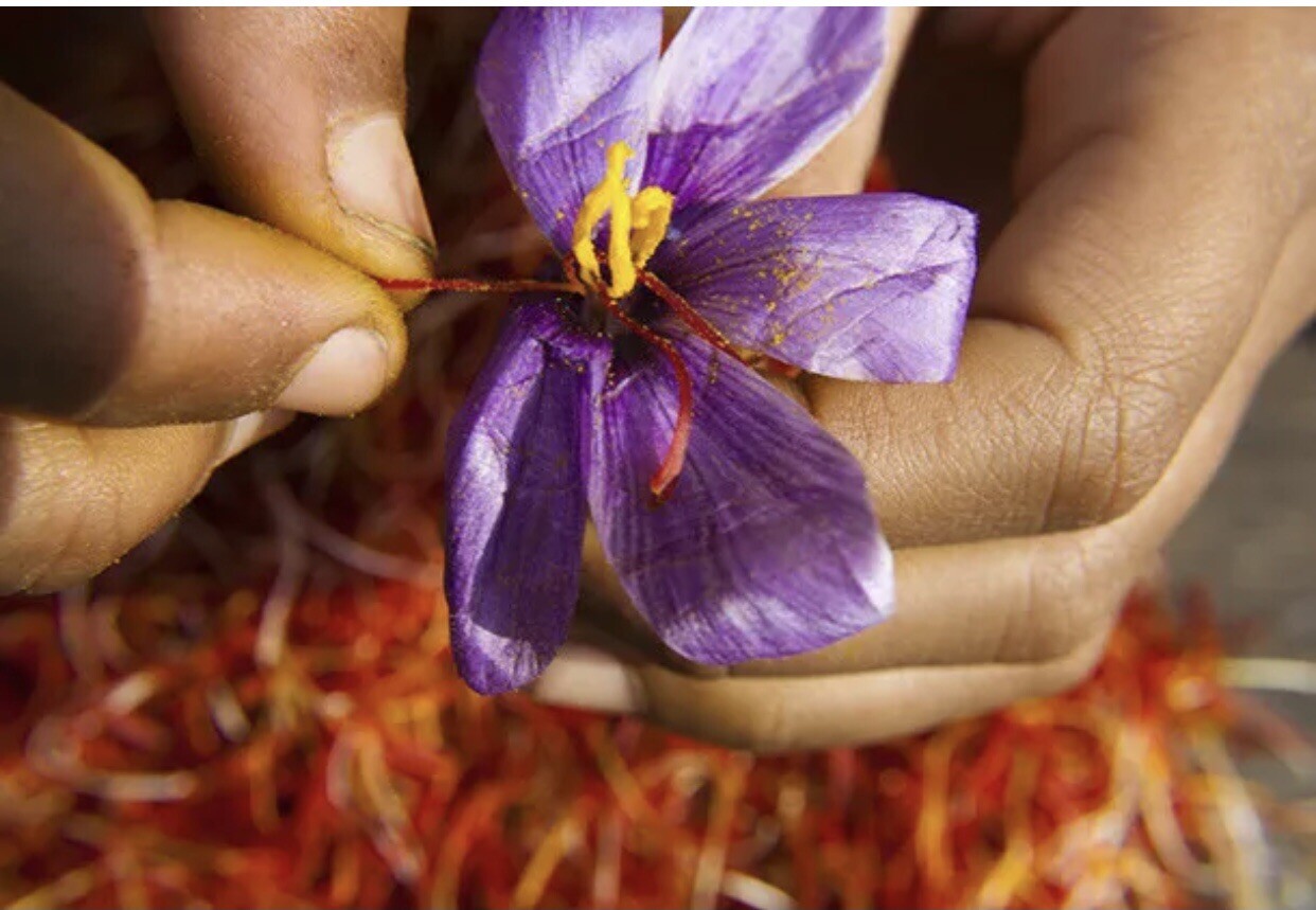 1 Gram Fresh Pure Organic Qaenat Saffron Zaffron (Pemium Quality) - Grade A!! gallery