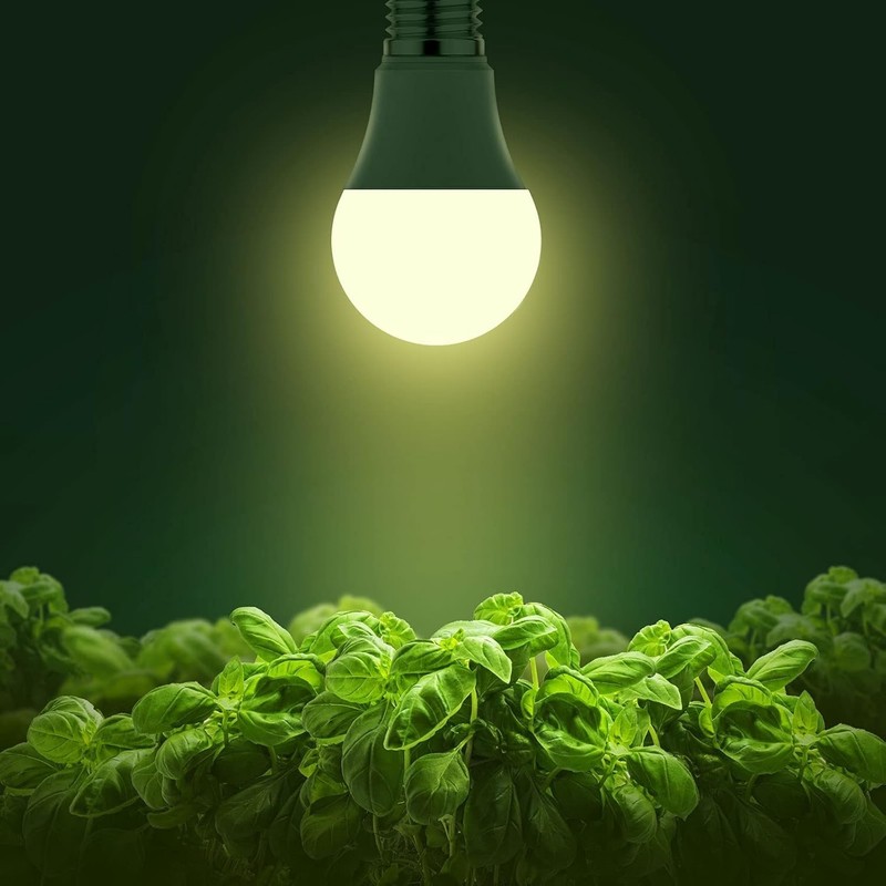 A19 Full Spectrum LED Grow Light Bulbs E26, 1000LM - 11W Energy Saver 2-Pack gallery