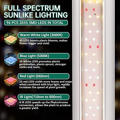 SZHLUX Grow Light 2FT 80W (2×40W) Full Spectrum LED Assorted Sizes , Colors gallery