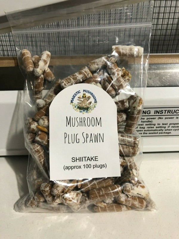 Shiitake Mushroom Plug Spawn 100x & drill bit/wax combo pack - FREE USA shipping gallery