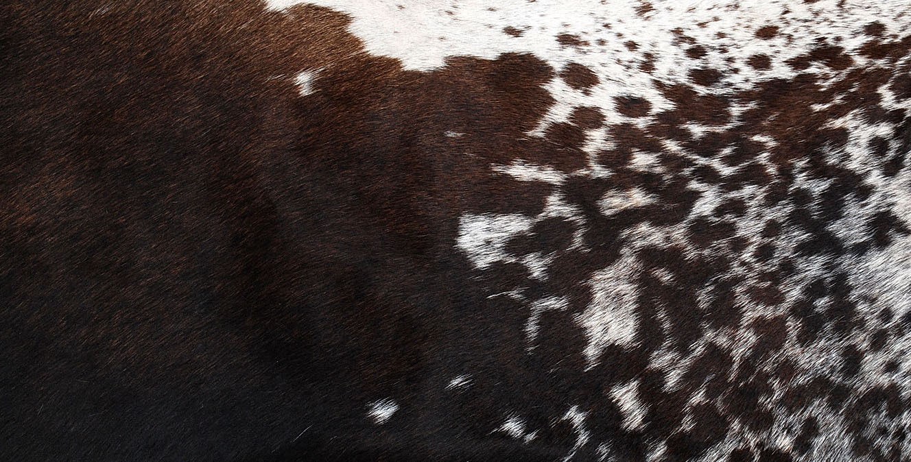 100% NEW COWHIDE LEATHER CUSHION COVER RUG COW HIDE HAIR (24" x 12") SA-8102 gallery