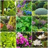 Tree & Shrub Fertilizer Spikes (Box of 24 Spikes - 6 Lbs) (OFA-FS1333-24) gallery