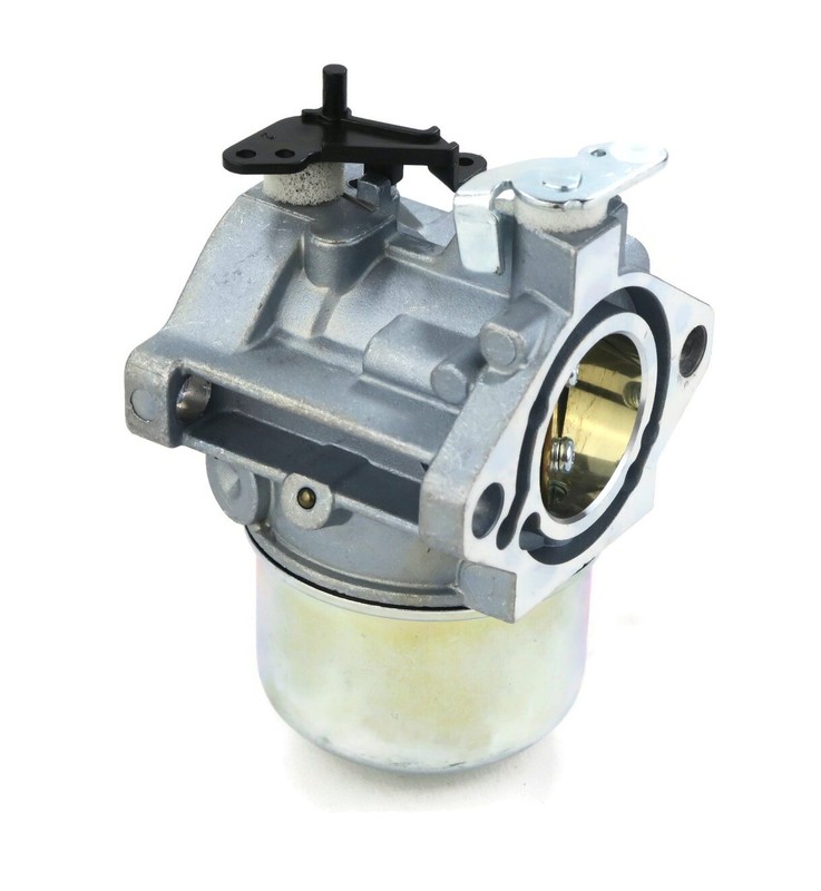 Carburetor Assembly for Briggs & Stratton 289707-0686-A1, 289707-0689-A1 Engines gallery