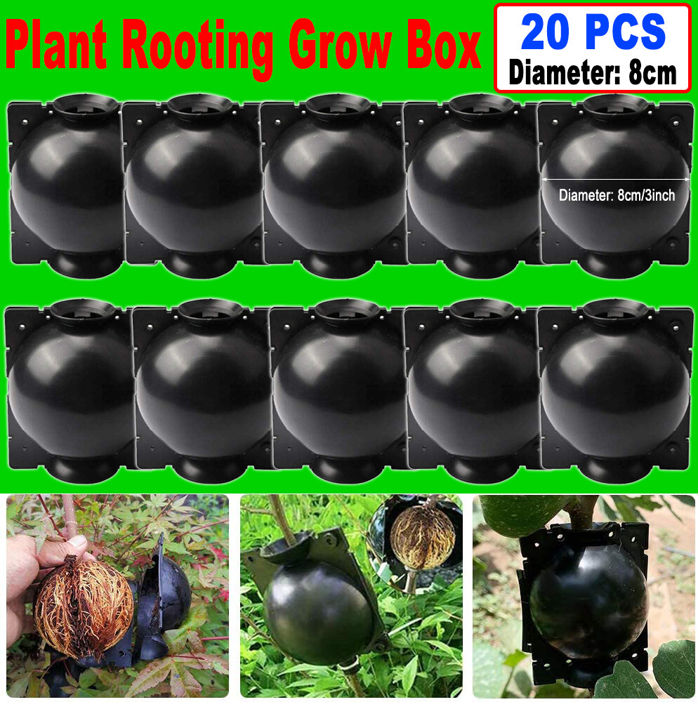 10/20Pcs 8CM High Pressure Propagation Layering Pod Balls Plant Root Craft Boxes gallery