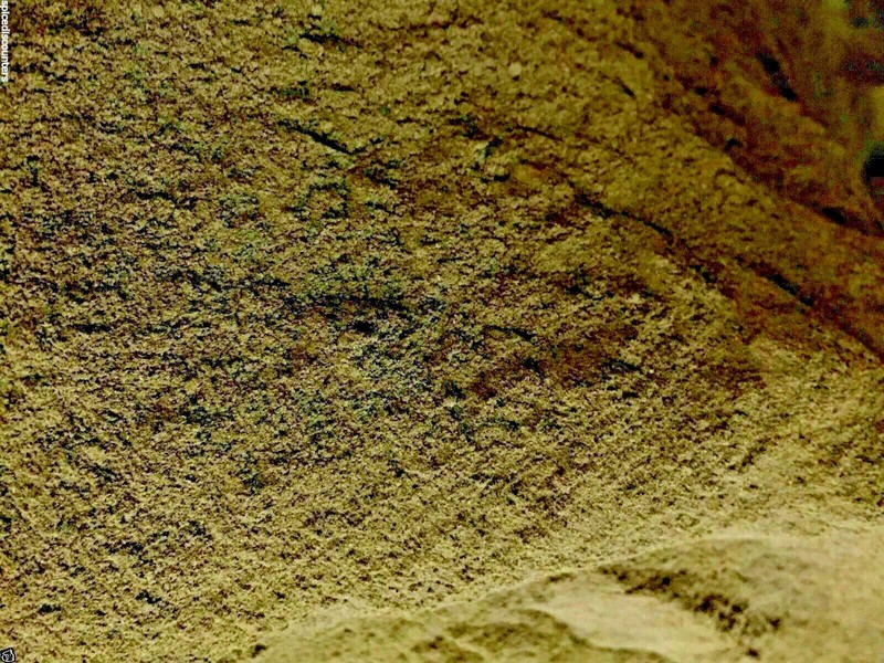 Mullein Leaf Herb Bulk Powder 1 2 3 4 5 lb Pounds ounce oz Certified Organic gallery