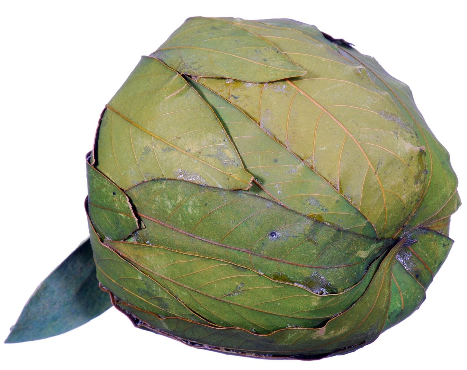 Leaf Apple Natural Green Country Hand Made Fruit Craft Floral Decor Filler 445f gallery