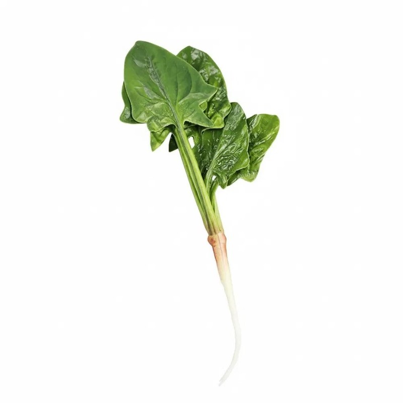Decorative Spinach Piece for Spring Summer Fall Winter Interior Accents gallery