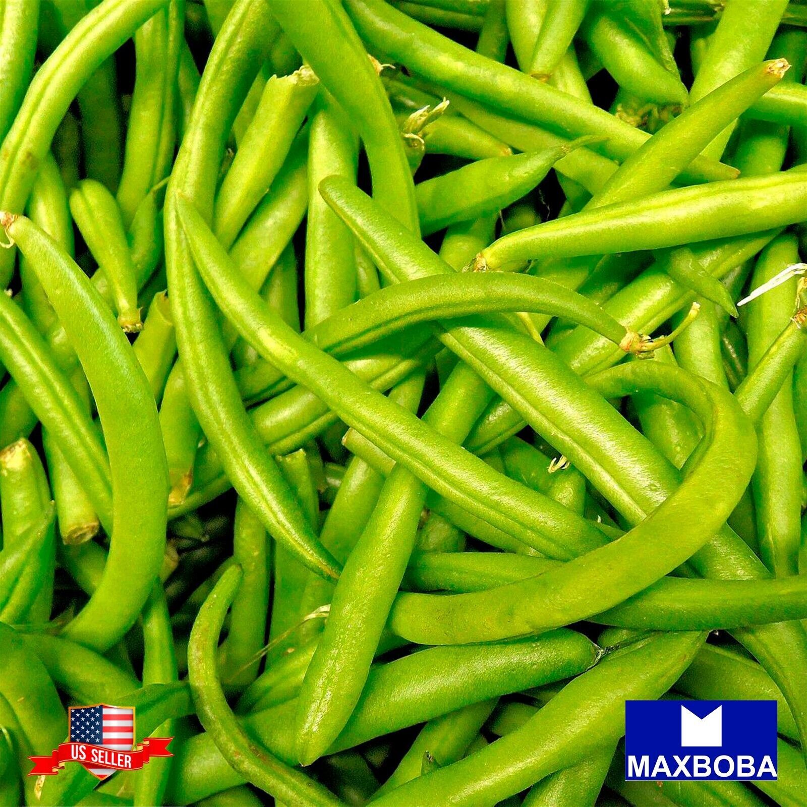 Bean Seeds - Bush - Strike Non-GMO / Heirloom / Vegetable Garden Fresh gallery