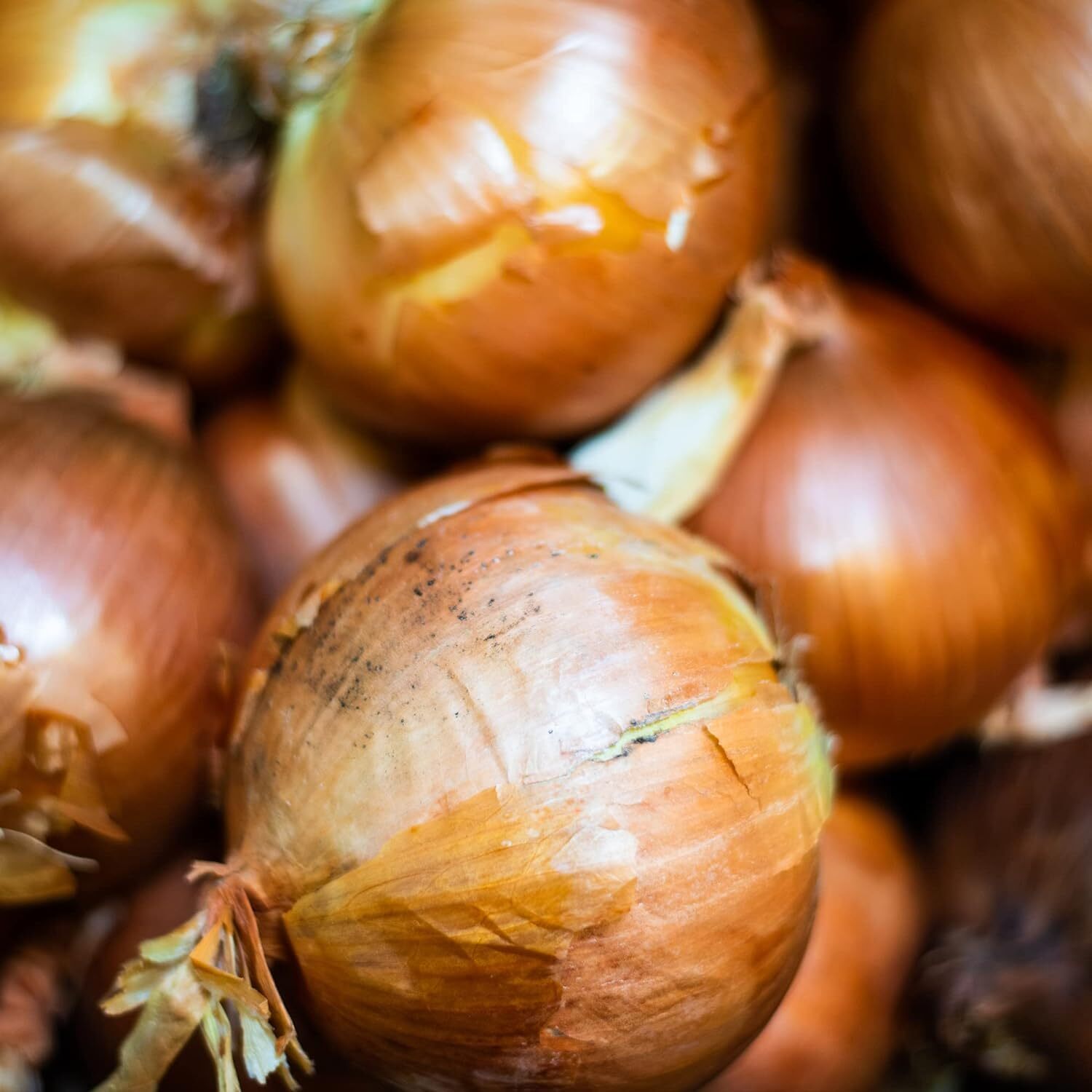 Frontier Co op Organic White Chopped Onion 16 Ounce Bulk Flavor Enhancer gallery