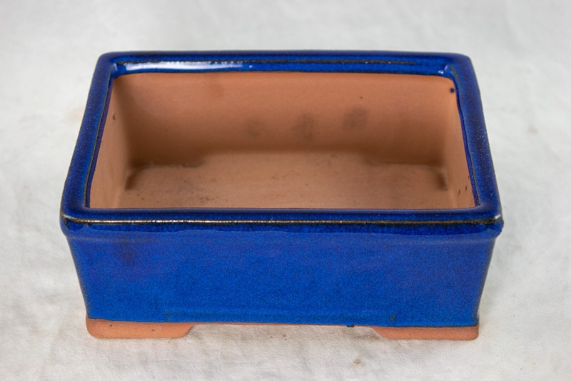 Rectangular Shohin Bonsai, Succulent Pot + Mesh 6.25"x 4.75"x 2.5" - Dark Blue gallery