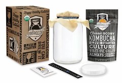 Kombucha Essentials Kit – ORGANIC SCOBY – Brew kombucha at Home